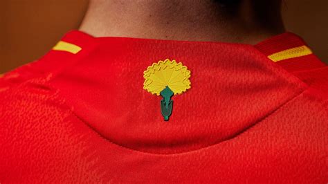 camiseta de españa flor.